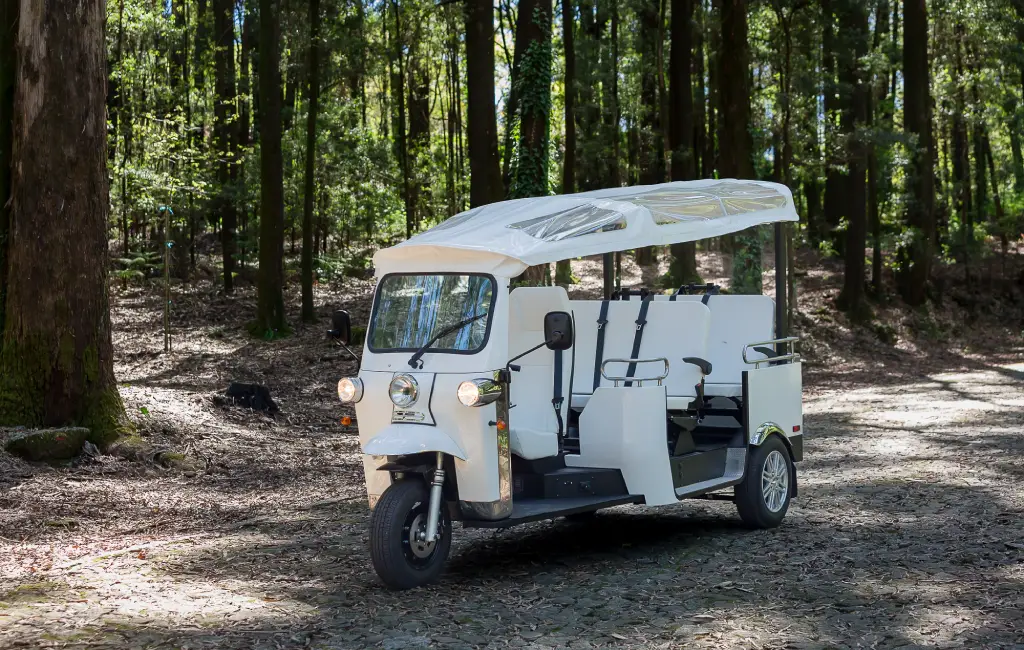 limo tours ecologicos